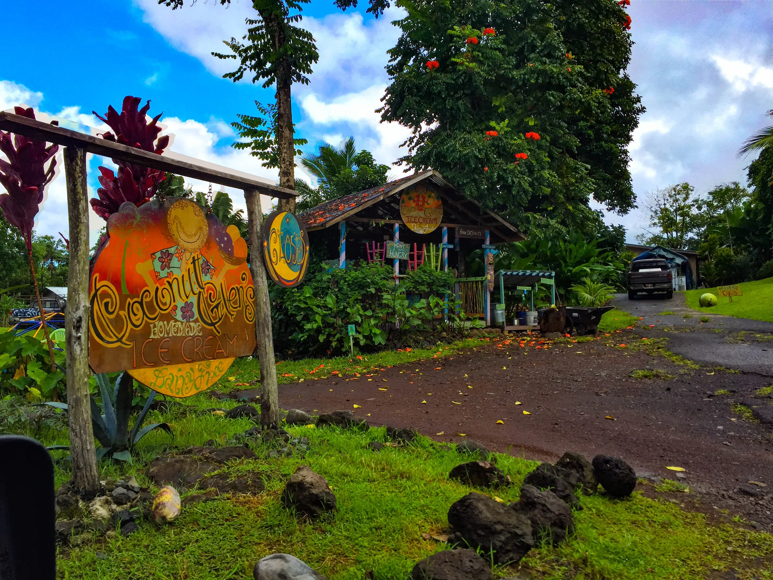 趣味・スポーツ・実用 hippie coco's PLANET hippie coco's planet Amazon.com: hippie coco: books, biography